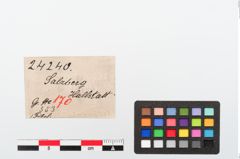 Etiketten zu Bronzefußpaukenfibel (NHMW-PRAE-024240)